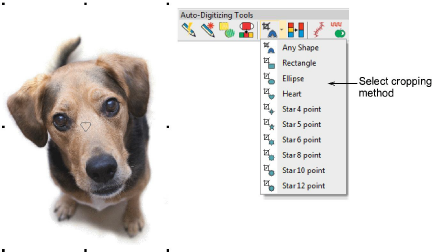 CropDog1.png