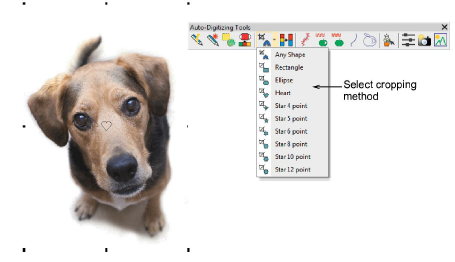 bitmaps00063.png