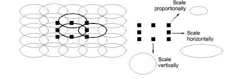 motifs00084.png